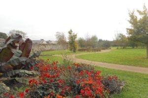 Massif de fleurs au parc des Cordeliers