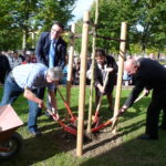 Plantation d'un arbre par le Maire de Valognes