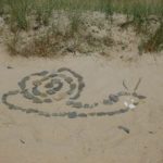 Représentation d'un escargot à l'aide de galets posés sur la plage