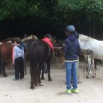 Activité poney