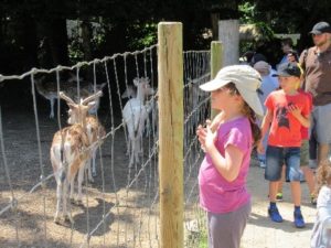 Enfants au par zoologique devant des faons.