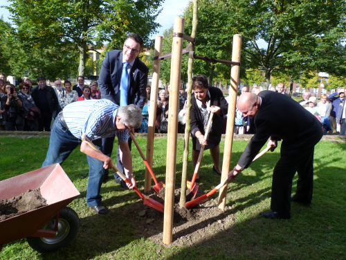 Plantation d'un arbre par le Maire de Valognes