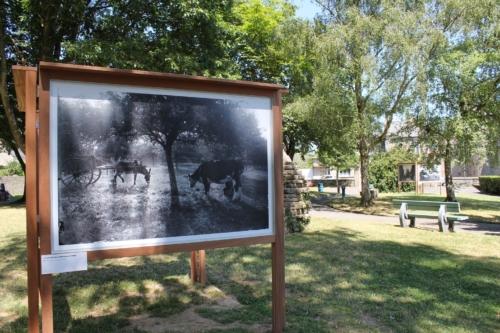 2019-Gustave-Bazire-Valognes-0007