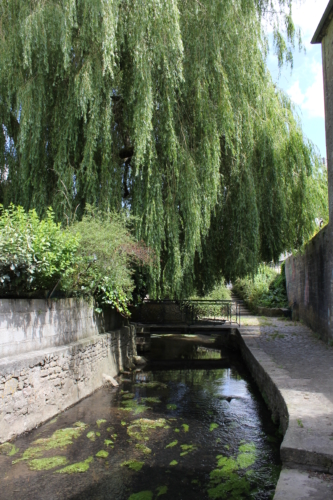 Le Pont Secouret rue Carnot