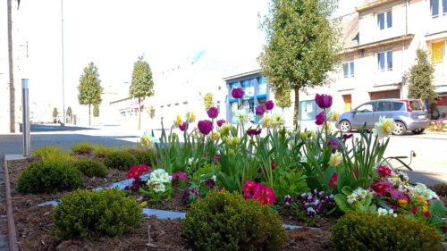 Fleurissement du boulevard Division Leclerc