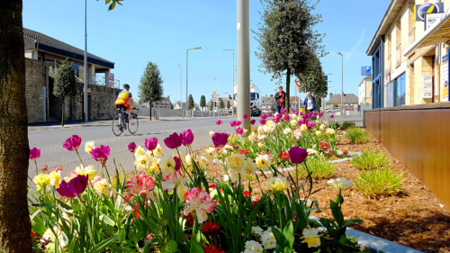 Fleurissement du Boulevard Division Leclerc