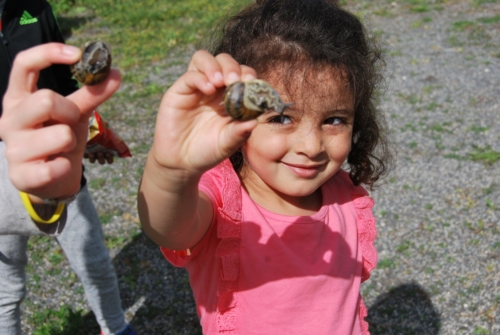 2Juin2018-SortieCarentanLesMarais-Ville-de-Valognes-0002