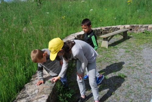 2Juin2018-SortieCarentanLesMarais-Ville-de-Valognes-0003