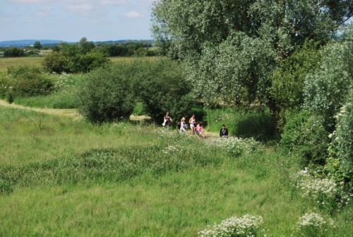 2Juin2018-SortieCarentanLesMarais-Ville-de-Valognes-0007