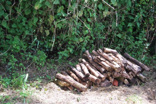 2Juin2018-SortieCarentanLesMarais-Ville-de-Valognes-0010