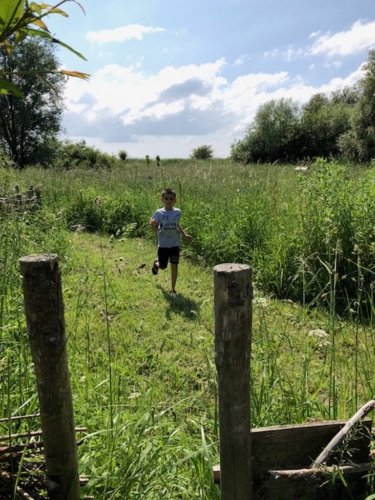 2Juin2018-SortieCarentanLesMarais-Ville-de-Valognes-0027