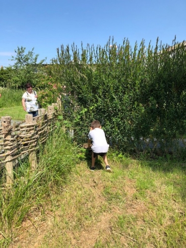 2Juin2018-SortieCarentanLesMarais-Ville-de-Valognes-0028