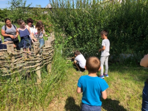 2Juin2018-SortieCarentanLesMarais-Ville-de-Valognes-0030