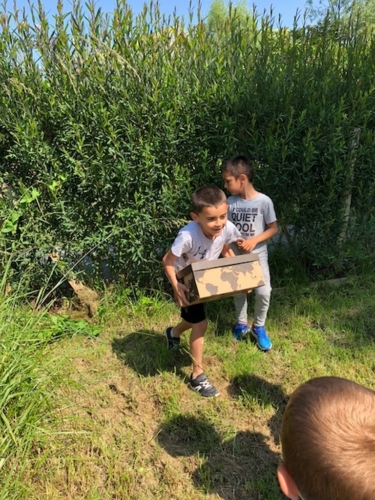 2Juin2018-SortieCarentanLesMarais-Ville-de-Valognes-0031