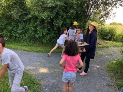 2Juin2018-SortieCarentanLesMarais-Ville-de-Valognes-0036