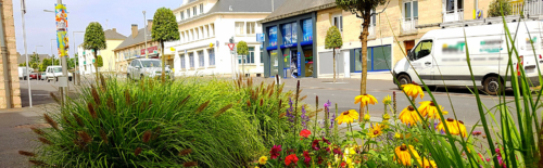 Fleurissement Août 2018 - Bd Division Leclerc