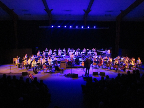 Vue d'ensemble d'un concert de l'harmonie dans une ambiance lumineuse mauve