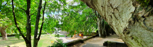 Jardin Public - Anne Heinis - Arbres - Jeux d'enfants - Détente
