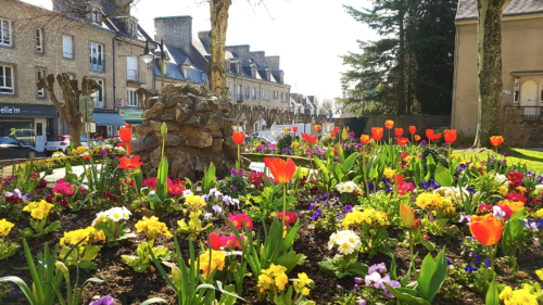 Tulipes rue de l'église