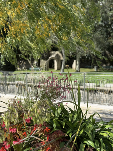 Le Merderet et le Jardin Anne Heinis
