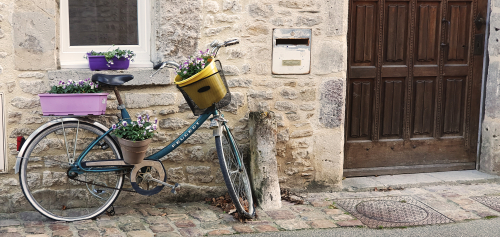 Vélo fleuri - Rue du Grand Moulin